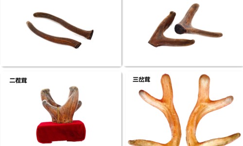 脸上的外伤凹痕会自己恢复吗-脸部外伤凹陷需要多久能好专区_脸上摔伤凹进去了还能长好吗专区_脸上受伤了 肉凹进去网