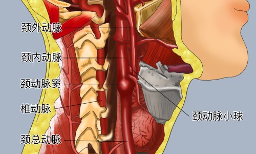 脸部外伤凹陷需要多久能好专区_脸上摔伤凹进去了还能长好吗专区_脸上受伤了 肉凹进去网